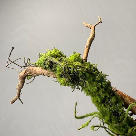 Moss Vine, approx. 120 cm long, posable with wired stems, artificial