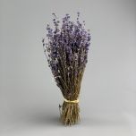 Lavender 30cm long - www.BrandonThatchers.co.uk