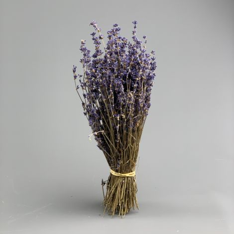 Lavender, 30cm long by 5 cm wide dried herb bunch
