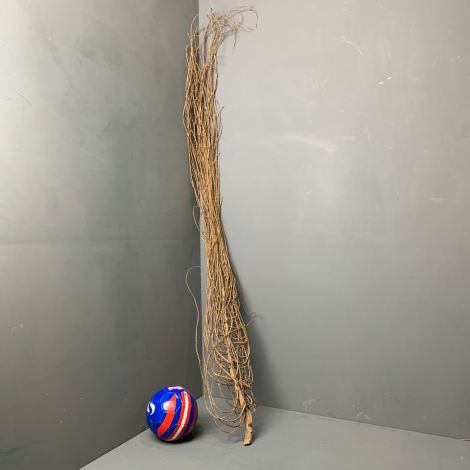 Flame Twig, Approx. 2 m Tall with a 40 cm Spread. Statement Natural Dried Floral Deco