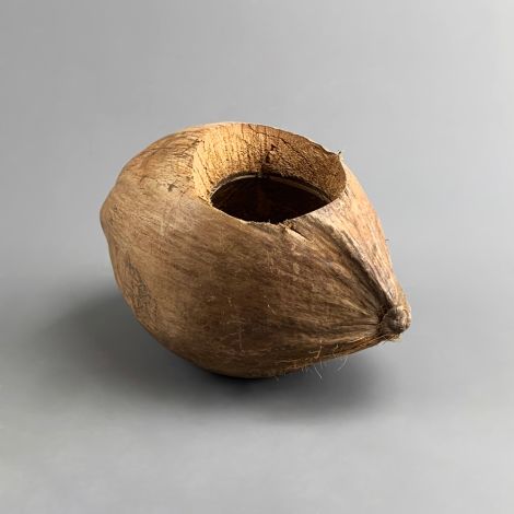 Coconut Husk, approx. 25cm diameter, natural, dried floral deco