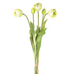 Prestige-Tulip-Bundle-Crm-45cm.jpg Prestige-Tulip-Bundle-Crm-45cm.jpg