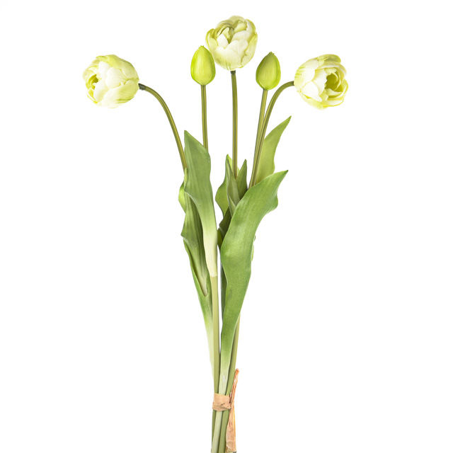 Prestige-Tulip-Bundle-Crm-45cm.jpg Prestige-Tulip-Bundle-Crm-45cm.jpg