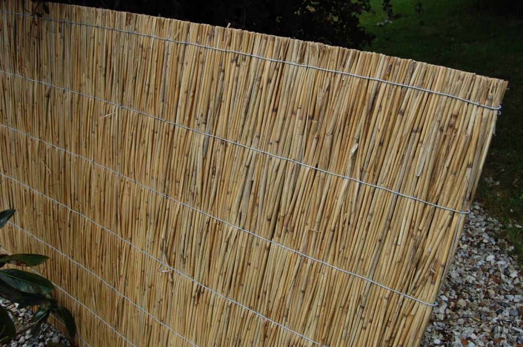 Water Reed Panels - www.brandonthatchers.co.uk