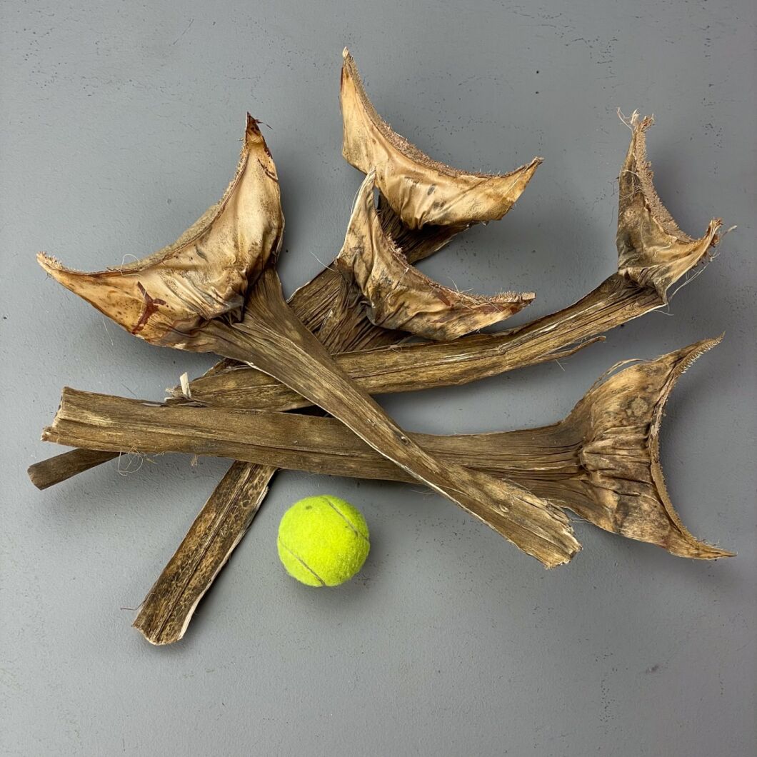www.brandonthatchers.co.uk Agarve Leaves 6 AL1.jpg