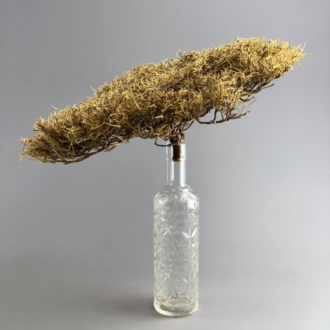 Gnarled Root - www.BrandonThathers.co.uk Gnarled Root - Approx 50 cm x 30 cm & 20 cm deep