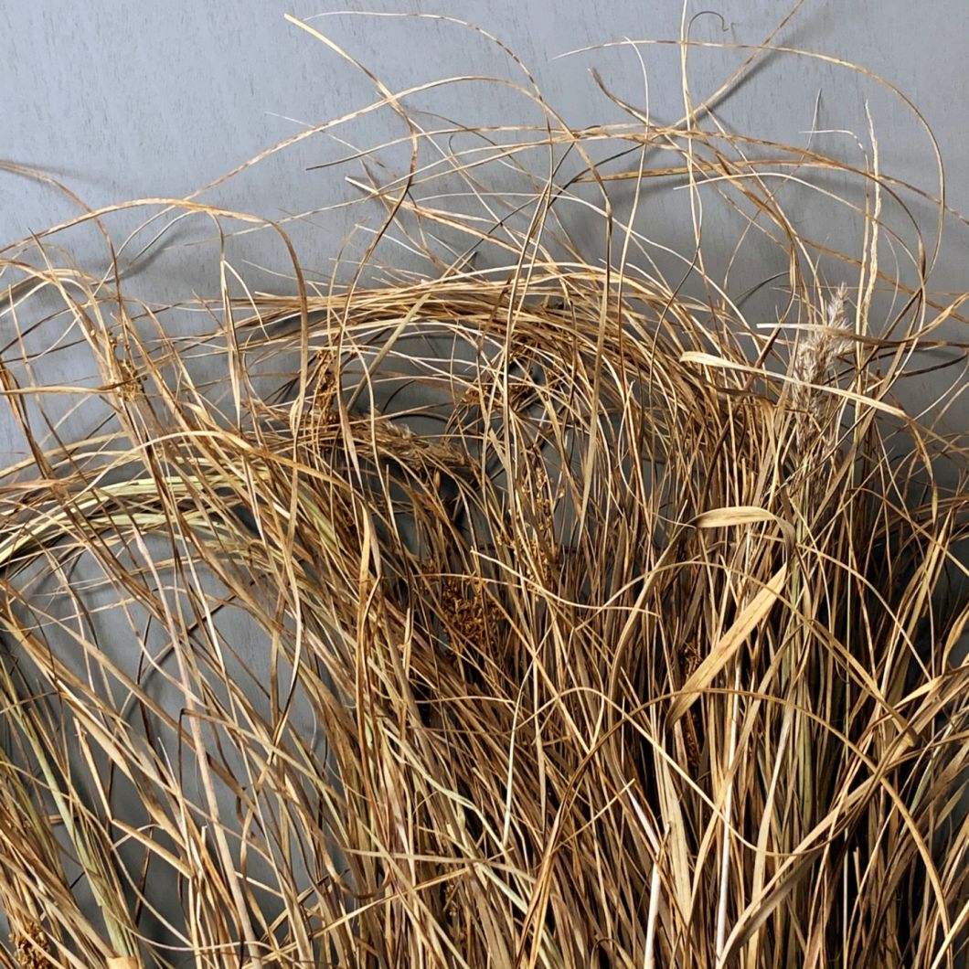 Sedge Bundle – www.BrandonThatchers.co.uk 