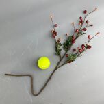 www.brandonthatchers.co.uk Rose hip Branch 6 RHB4.jpeg