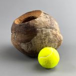 Coconut shell Green - www.BrandonThathers.co.uk IMG_3620.jpg
