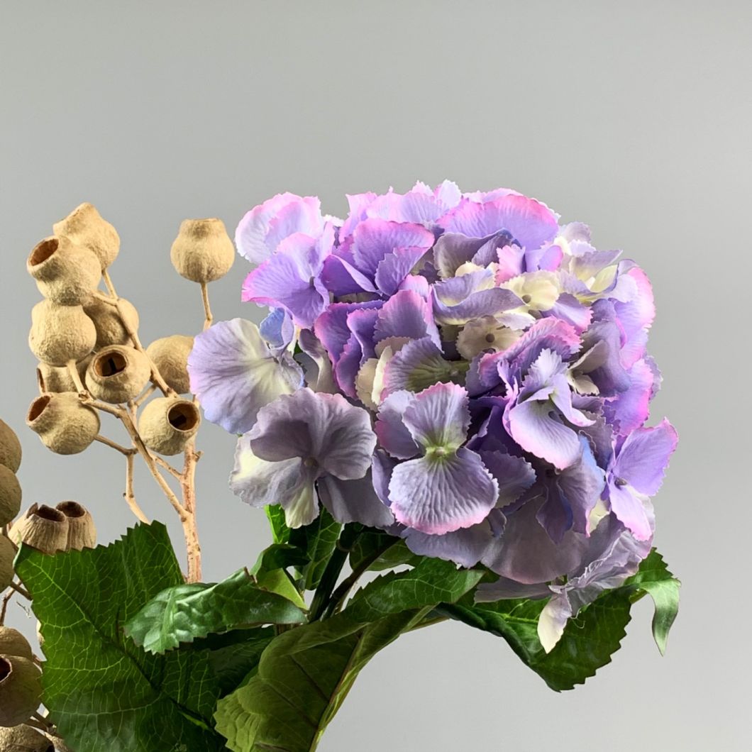 Lavender Hydrangea - www.BrandonThathers.co.uk IMG_0926.jpg