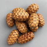 Dragon eggs - www.BrandonThathers.co.uk IMG_4089.jpg