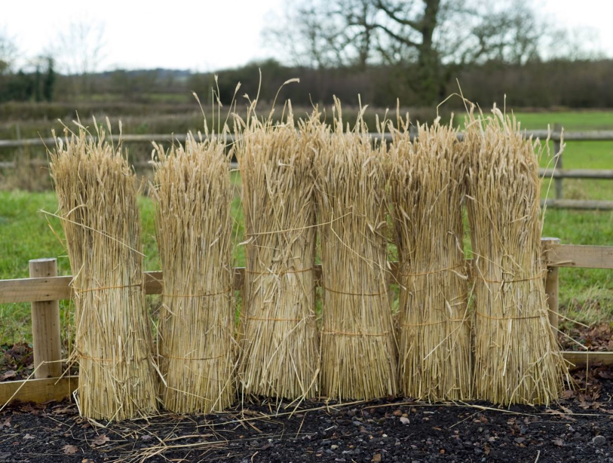 Straw Bundle, approx. 1.2 m tall by 40 cm diameter.