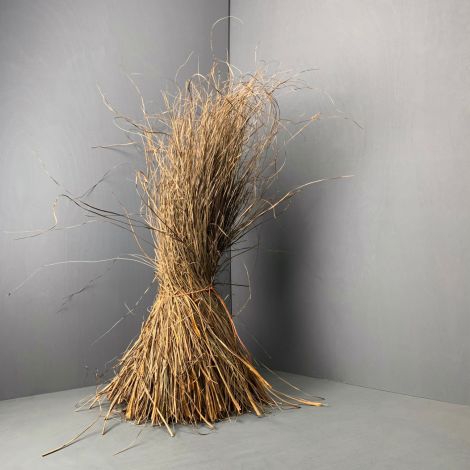 Sedge Bundle, approx. 1 m plus tall by 30 cm wide. Natural, dried, thatching material