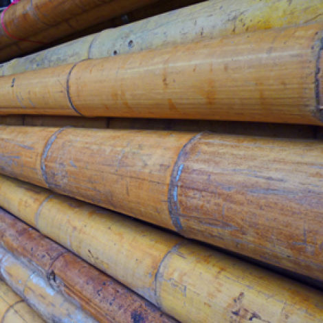 Bamboo Pole, 30 to 140 mm diameter by 4 m long