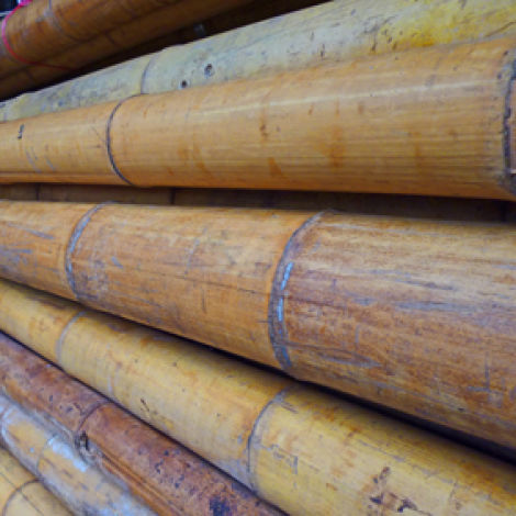 Bamboo Pole, 25 to 140 mm diameter by 4 m long