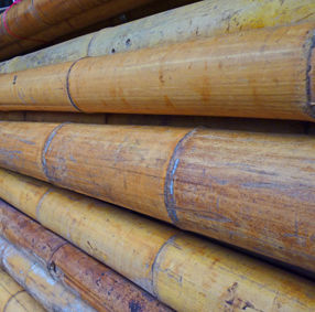 Bamboo Pole 40 to 50 mm diameter by 4m long