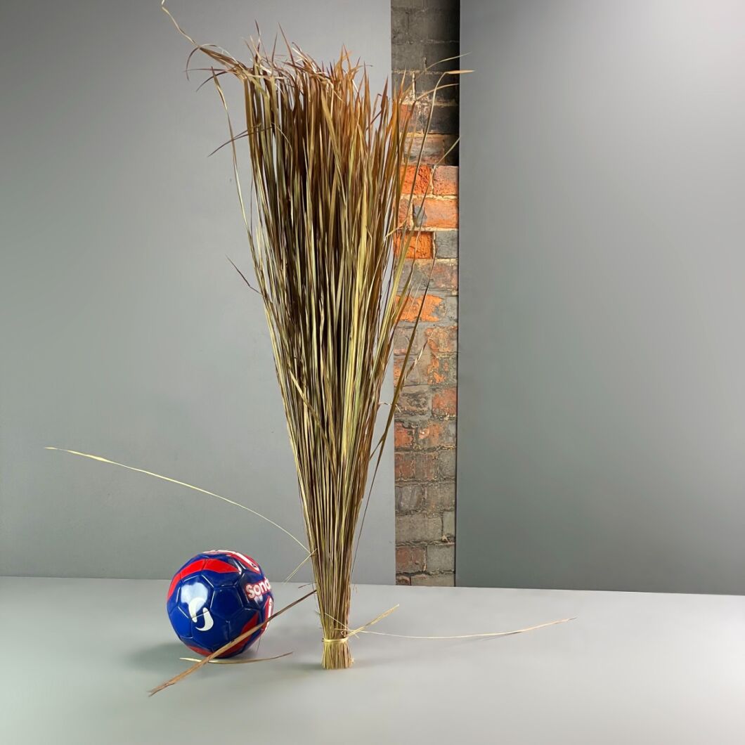 Dried Mellow Grass Bundle, 1 m long x 4 cm wide bunch of natural dried ...