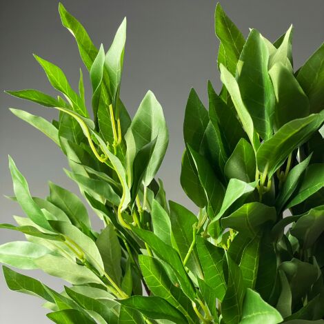 Bay Leaf Branch, 56 cm long, poseable stems