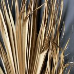 Palm Leaf - www.BrandonThathers.co.uk IMG_7172.jpg