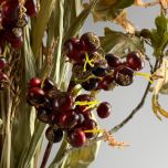 Bird Berries - www.BrandonThathers.co.uk IMG_6798.jpeg