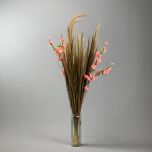 Goose feather sedge - www.BrandonThathers.co.uk