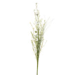 Wildflower, Daisy Cream 58cm tall - www.BrandonThatchers.co.uk