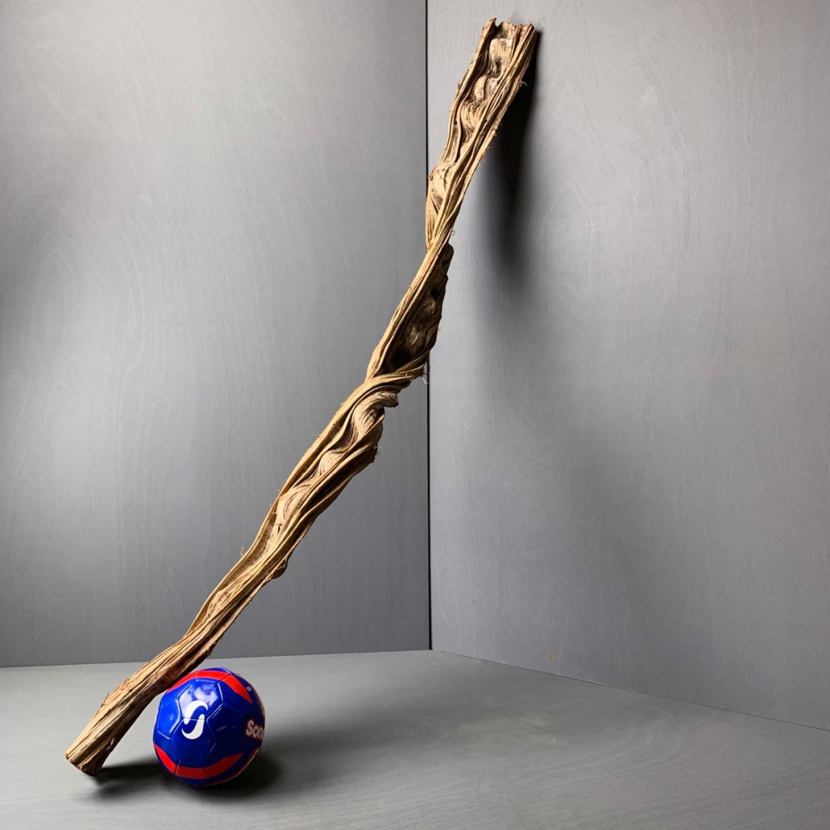 Monkey Ladder Giganticus approx. 2 m long by 13 cm wide