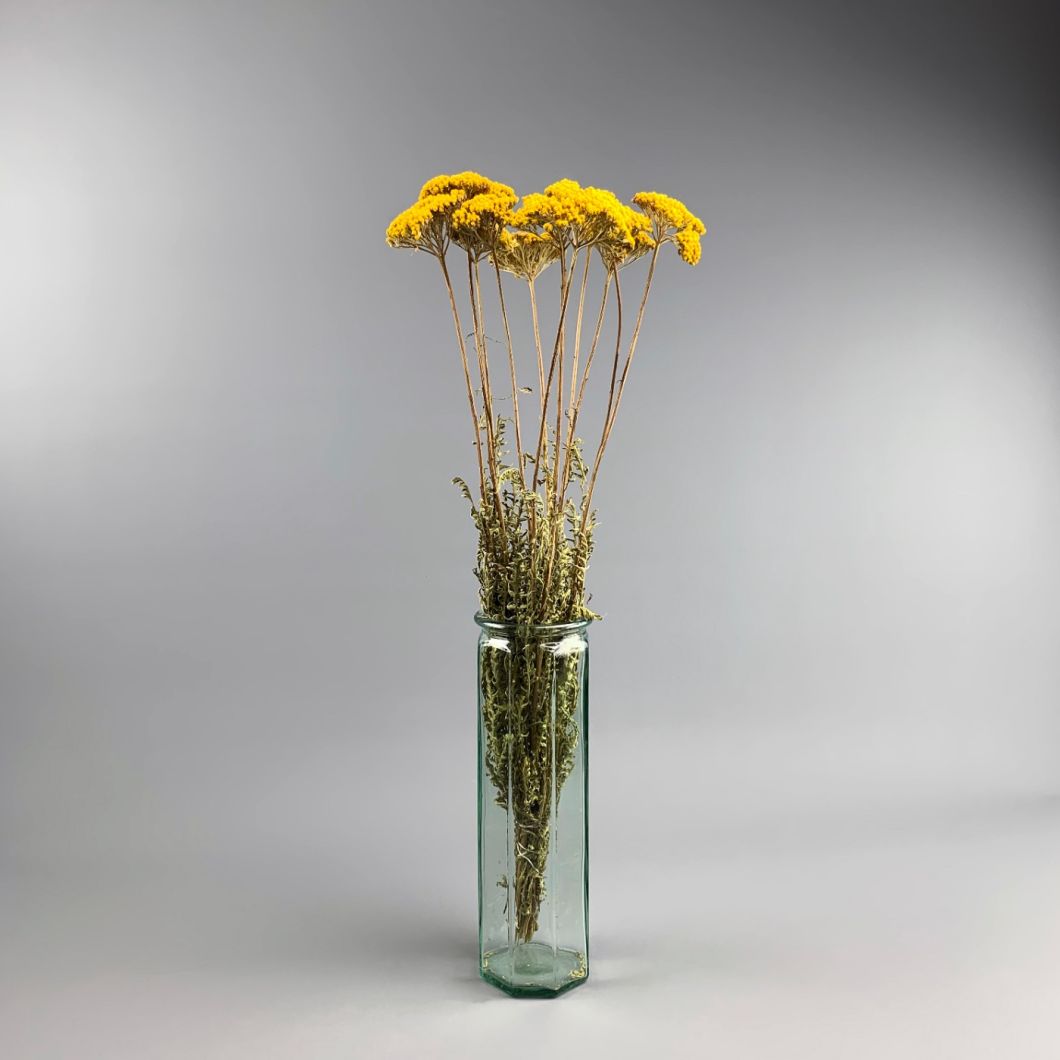 Achillea, Yellow, approx. 67 cm - www.BrandonThatchers.co.uk