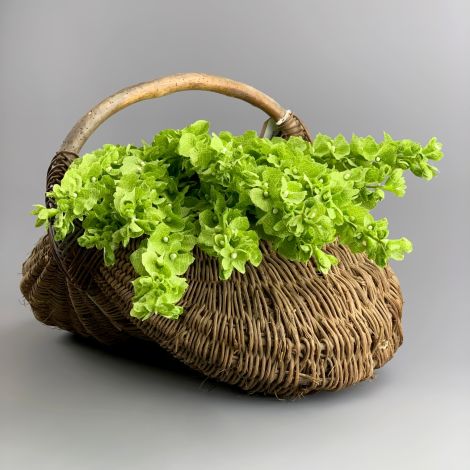 Hypericum Berries Twig Cream 72 Cm Artificial Foliage