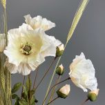 Poppy Cream - www.BrandonThathers.co.uk IMG_0992.jpg