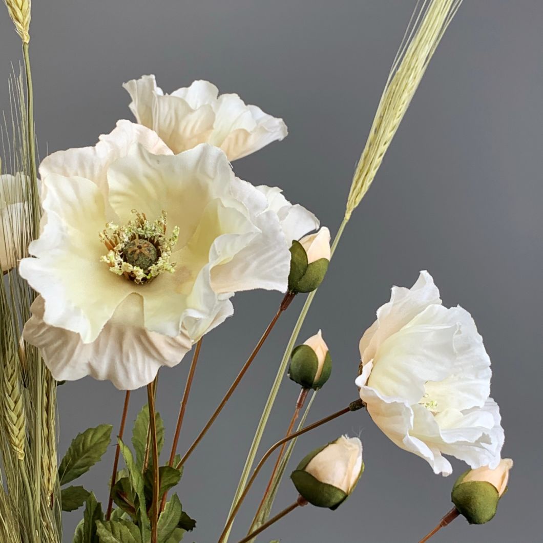 Poppy Cream - www.BrandonThathers.co.uk IMG_0992.jpg
