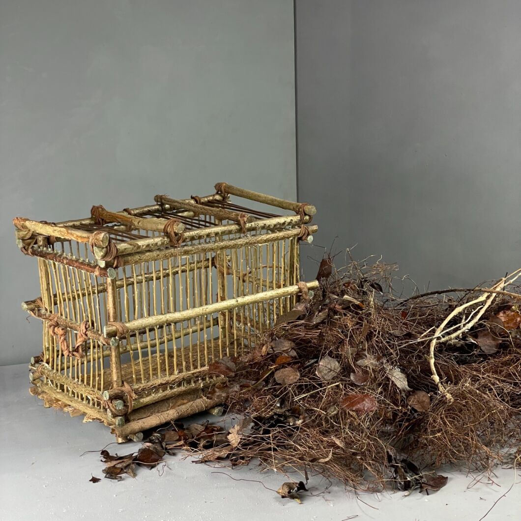 Brandon Thatchers Products IMG_3460.jpeg