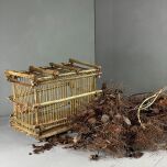 Brandon Thatchers Products IMG_3460.jpeg