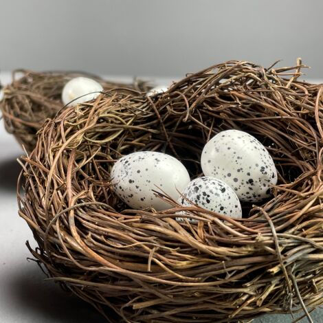 Birds Nests with Eggs (Set of 6) - RENTAL ONLY