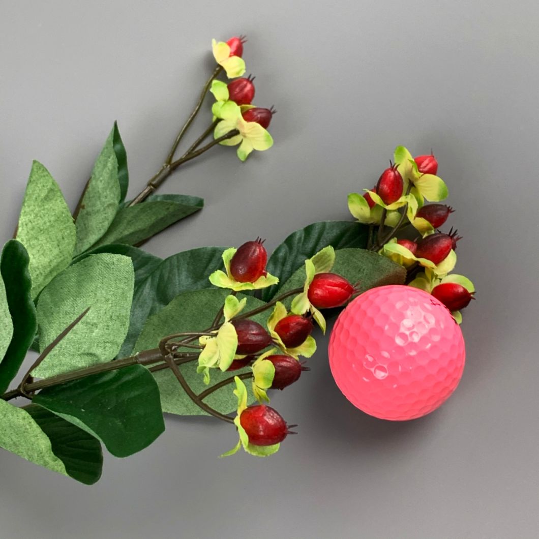 Hypericum Red - www.BrandonThathers.co.uk IMG_1115.jpg