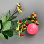 Hypericum Red - www.BrandonThathers.co.uk IMG_1115.jpg