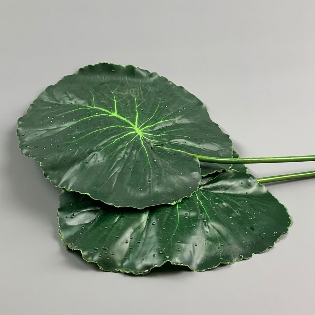 Lotus Leaves - www.BrandonThatchers.co.uk IMG_0787.jpg