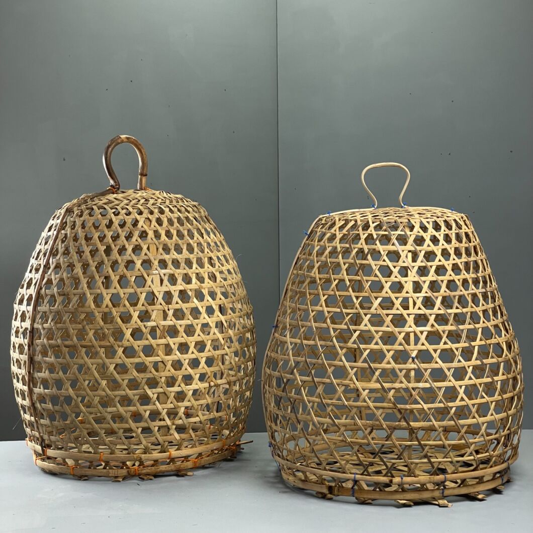 Brandon Thatchers Products IMG_4067.JPG