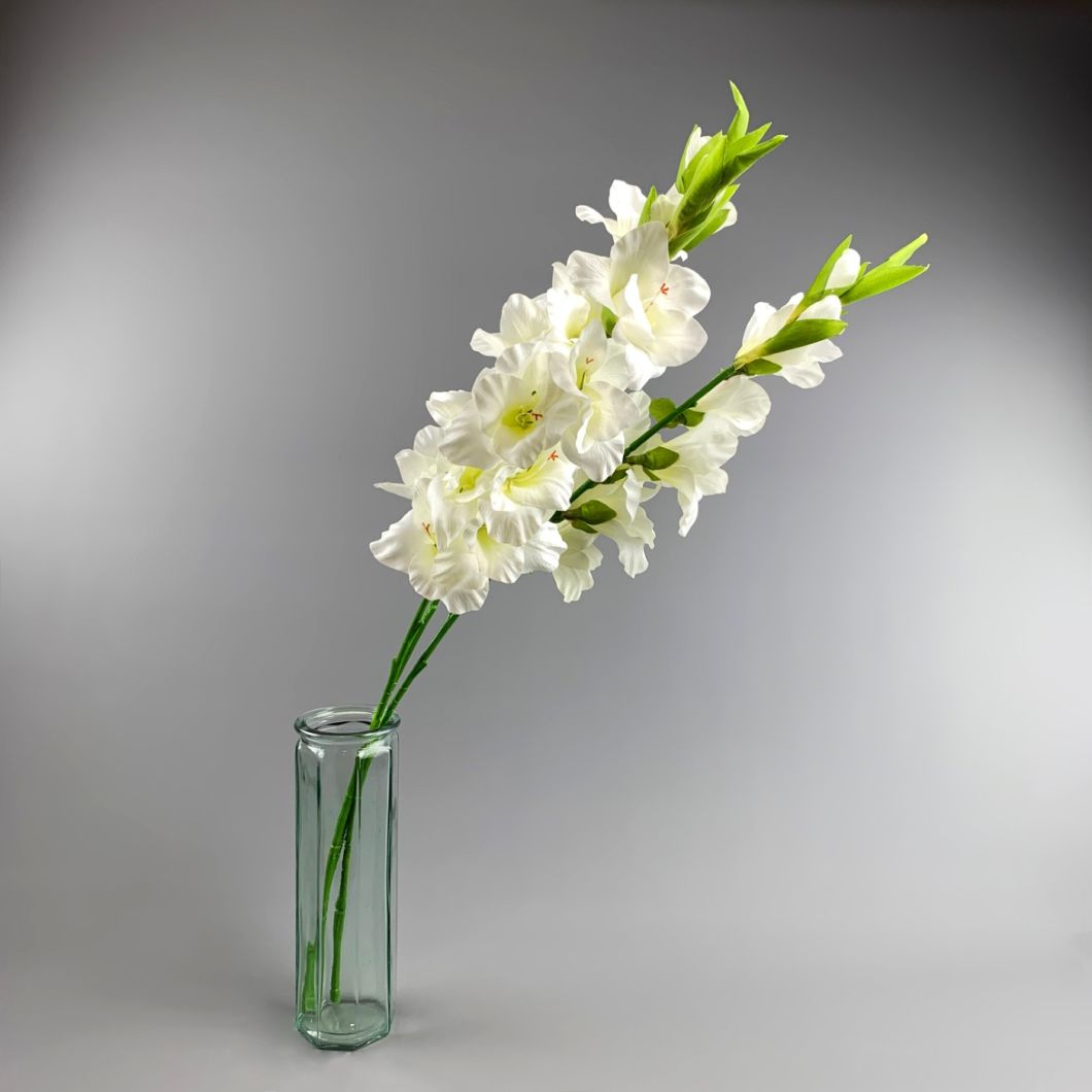 Gladiola, Cream 96 cm - www.BrandonThatchers.co.uk IMG_1037.jpg