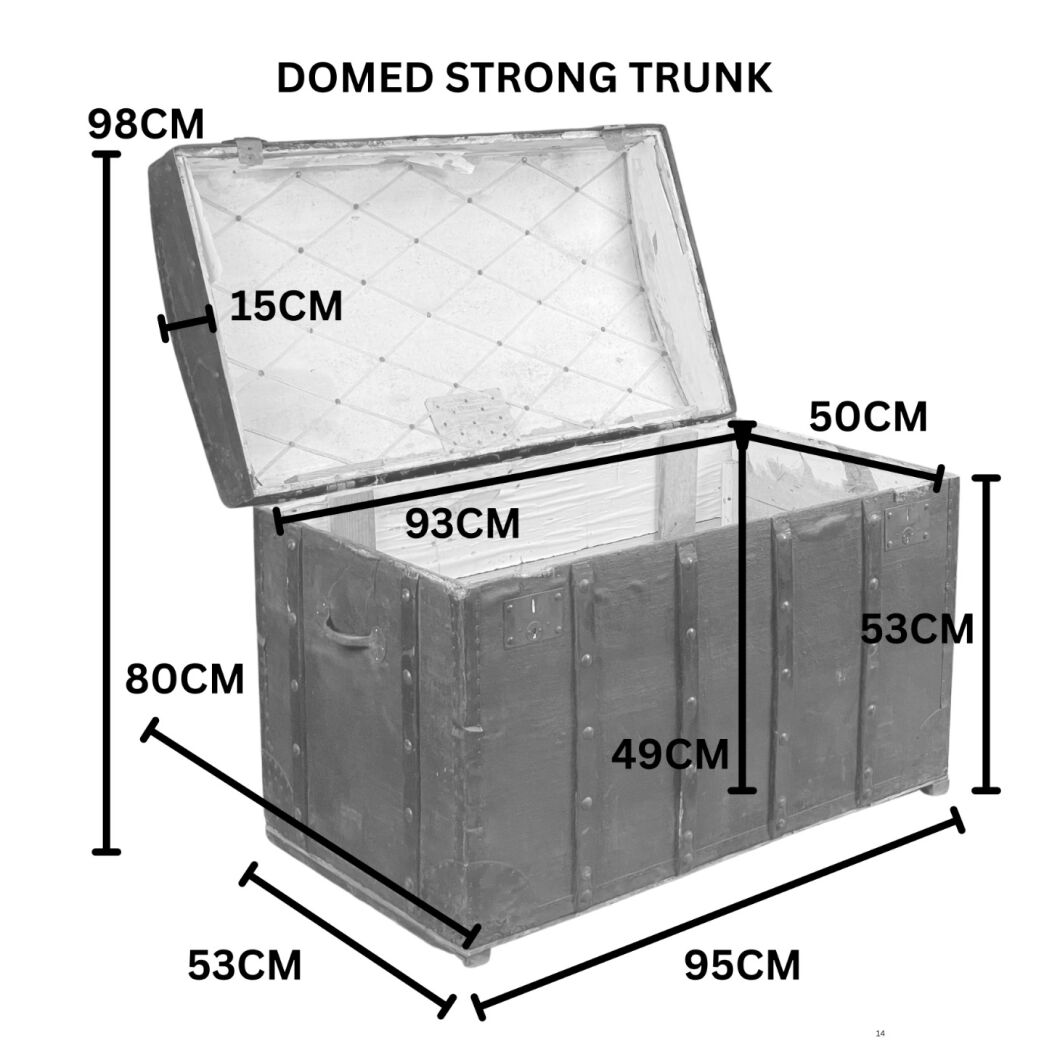 DOMED STRONG TRUNK.jpg