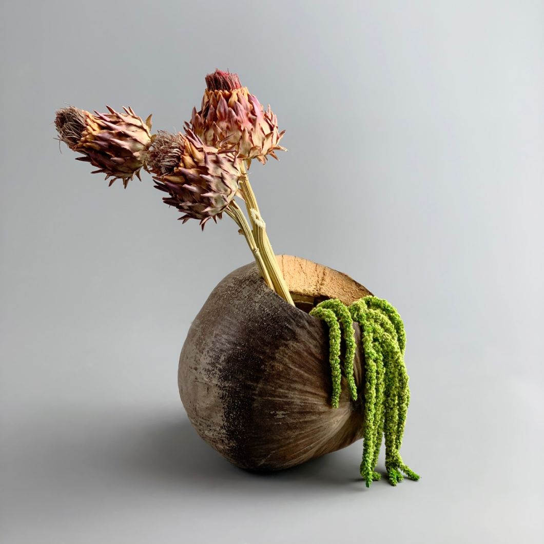 Coconut shell Green - www.BrandonThathers.co.uk IMG_3613.jpg