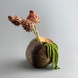 Coconut shell Green - www.BrandonThathers.co.uk IMG_3613.jpg
