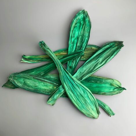Emerald Wild Leaves x 10 approx. 45 cm long by 10 cm Wide. Natural Dried Floral Deco