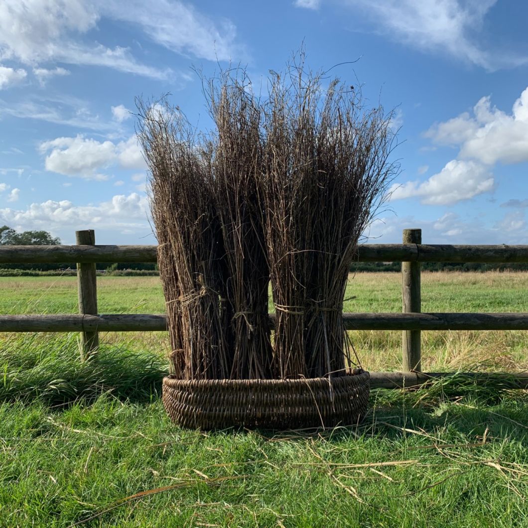 Winter Stems, approx. 120 cm - www.BrandonThatchers.co.uk