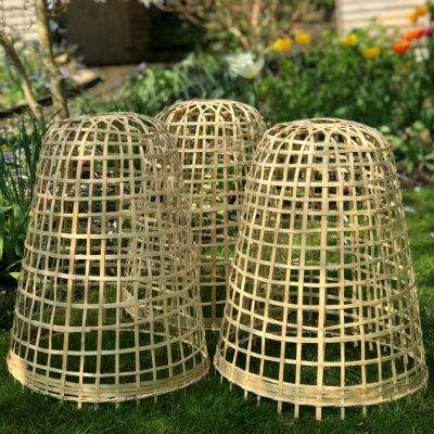 bamboo-cloche3.jpg