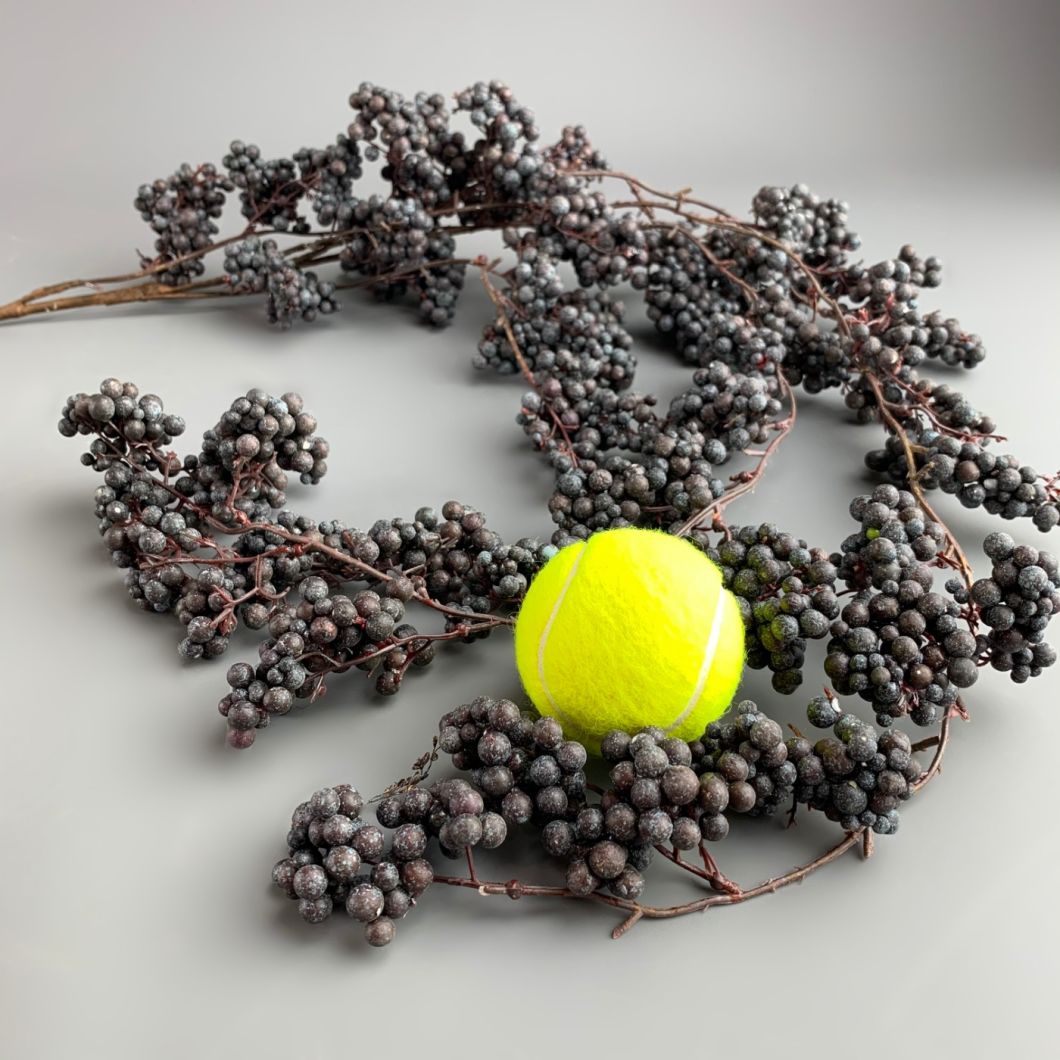 Dark Berries - www.BrandonThatchers.co.uk Dark Berries - www.BrandonThatchers.co.uk