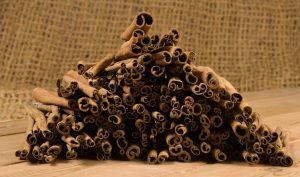 Cinnamon-Sticks-4-e1506437300508.jpg Cinnamon-Sticks-4-e1506437300508.jpg