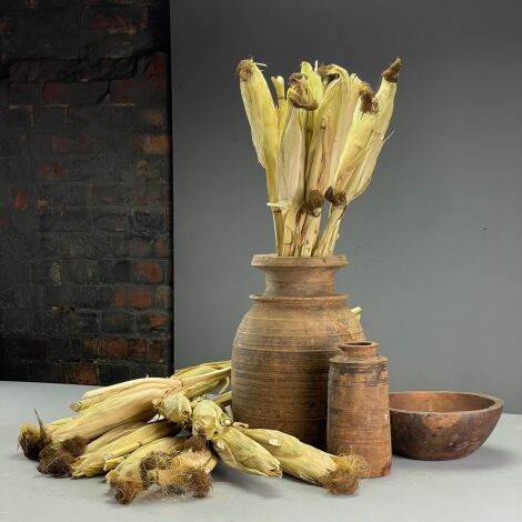 Maize Heads Wrapped x 2, approx. 30 cm long each with husk, natural, dried floral deco