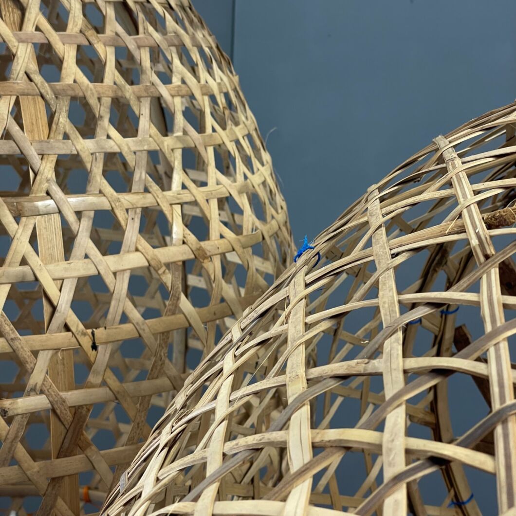 Brandon Thatchers Products IMG_4066.JPG