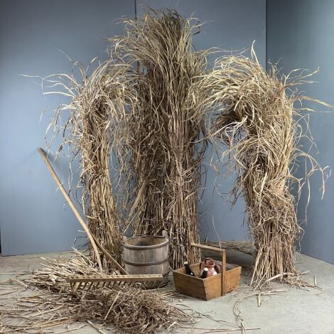 Elephant Grass, approx. 2.5 m plus tall by 35 cm diameter with leaf. Natural, dried material